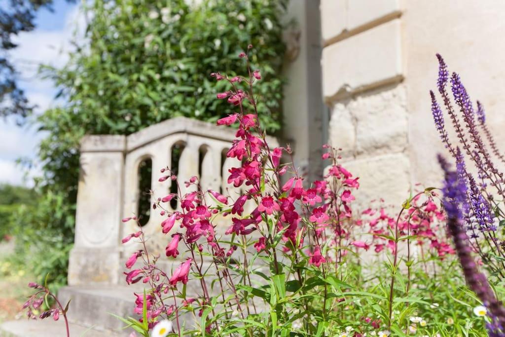 Chateau De La Vigne Concourson-sur-Layon Buitenkant foto